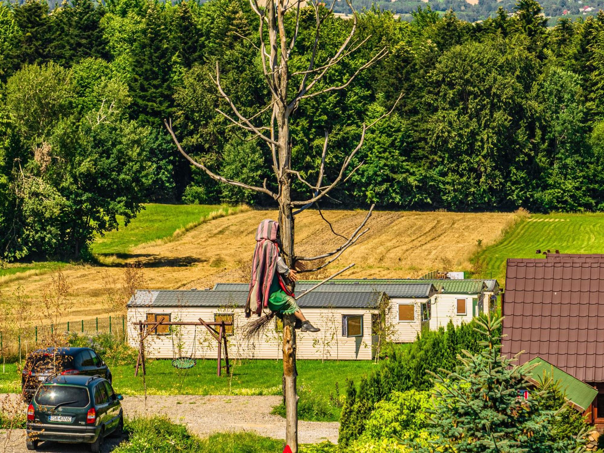 Villa Siedlisko Carownica Family & Wellness à Lechów Extérieur photo
