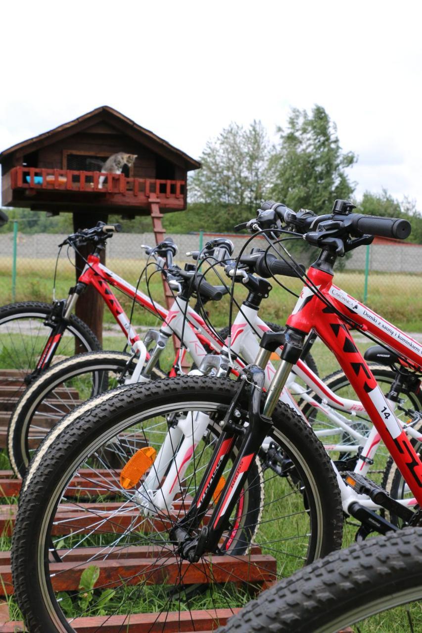 Villa Siedlisko Carownica Family & Wellness à Lechów Extérieur photo